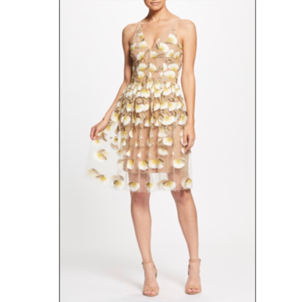 Dress the Population Betsy Lily Embroidered Dress